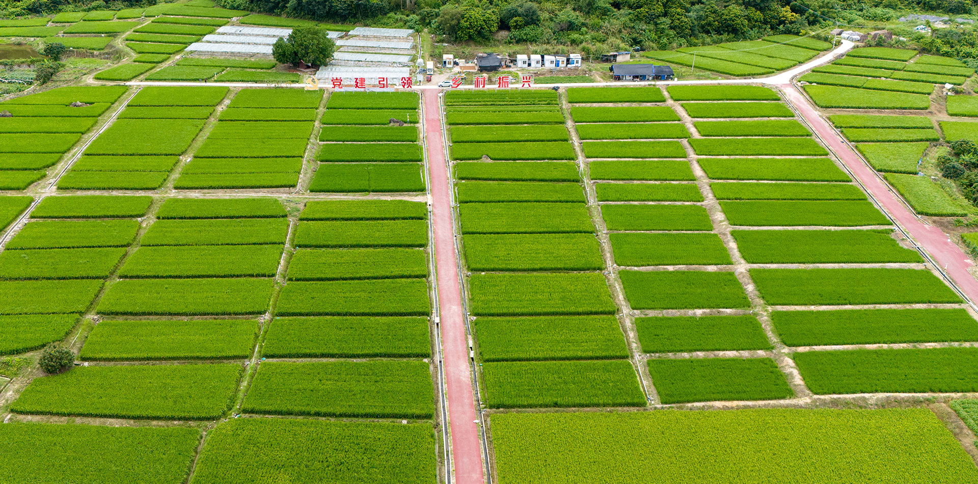 生態至上、品質第一、創新引領、價值共享